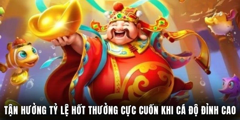 Tận hưởng tỷ lệ hốt thưởng cực cuốn khi cá độ đỉnh cao