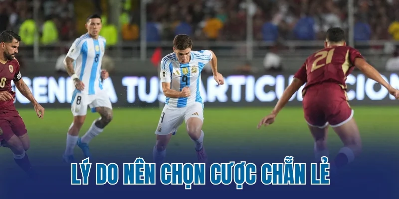 Lý do nên chọn cược chẵn lẻ