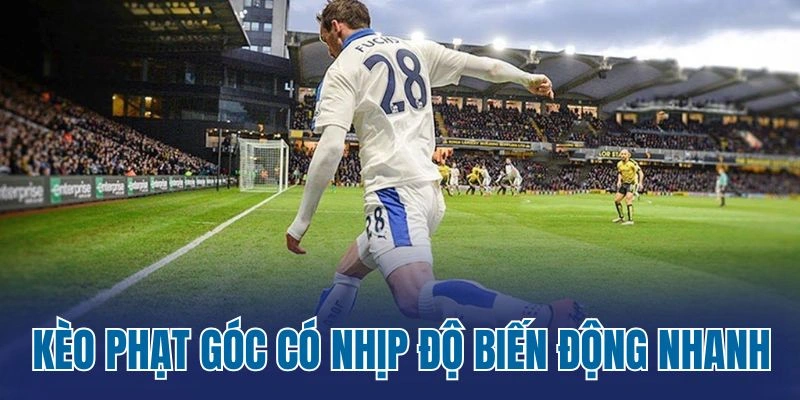 Kèo phạt góc có nhịp độ biến động nhanh