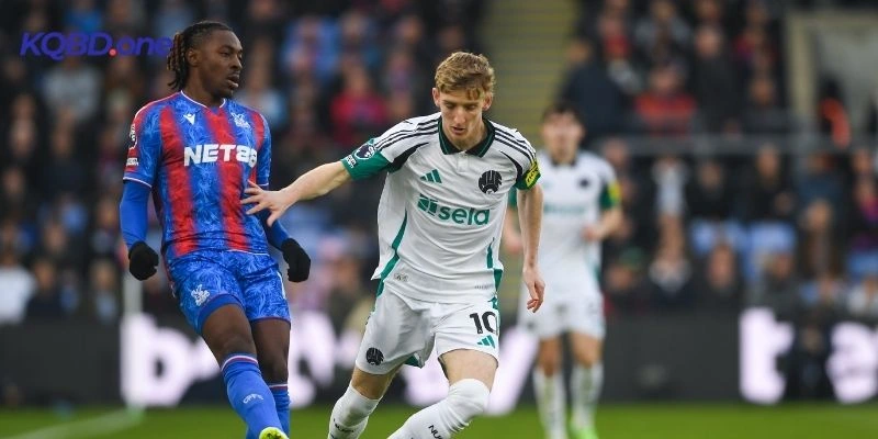 Thực lực Crystal Palace vs Newcastle